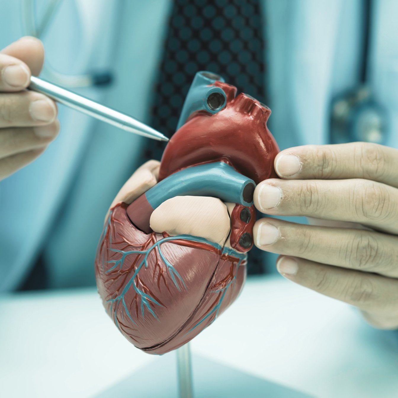 ¿Cuándo consultar al cardiólogo?
